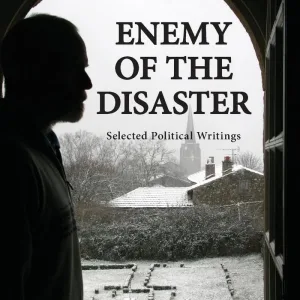 Enemey Of The Disaster: Selected Political Writings (Paperback)