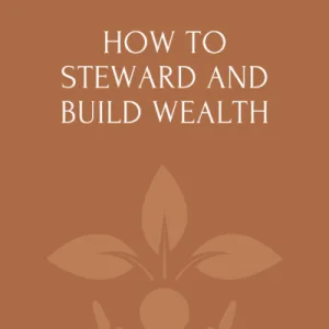 How To Steward And Build Wealth (Paperback)